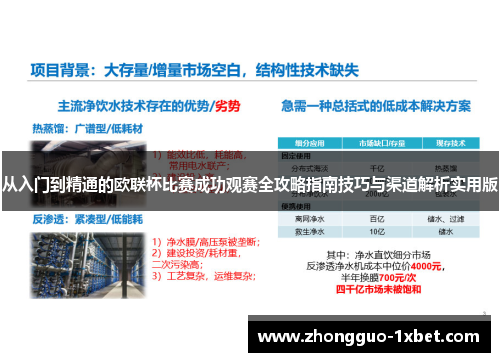 从入门到精通的欧联杯比赛成功观赛全攻略指南技巧与渠道解析实用版